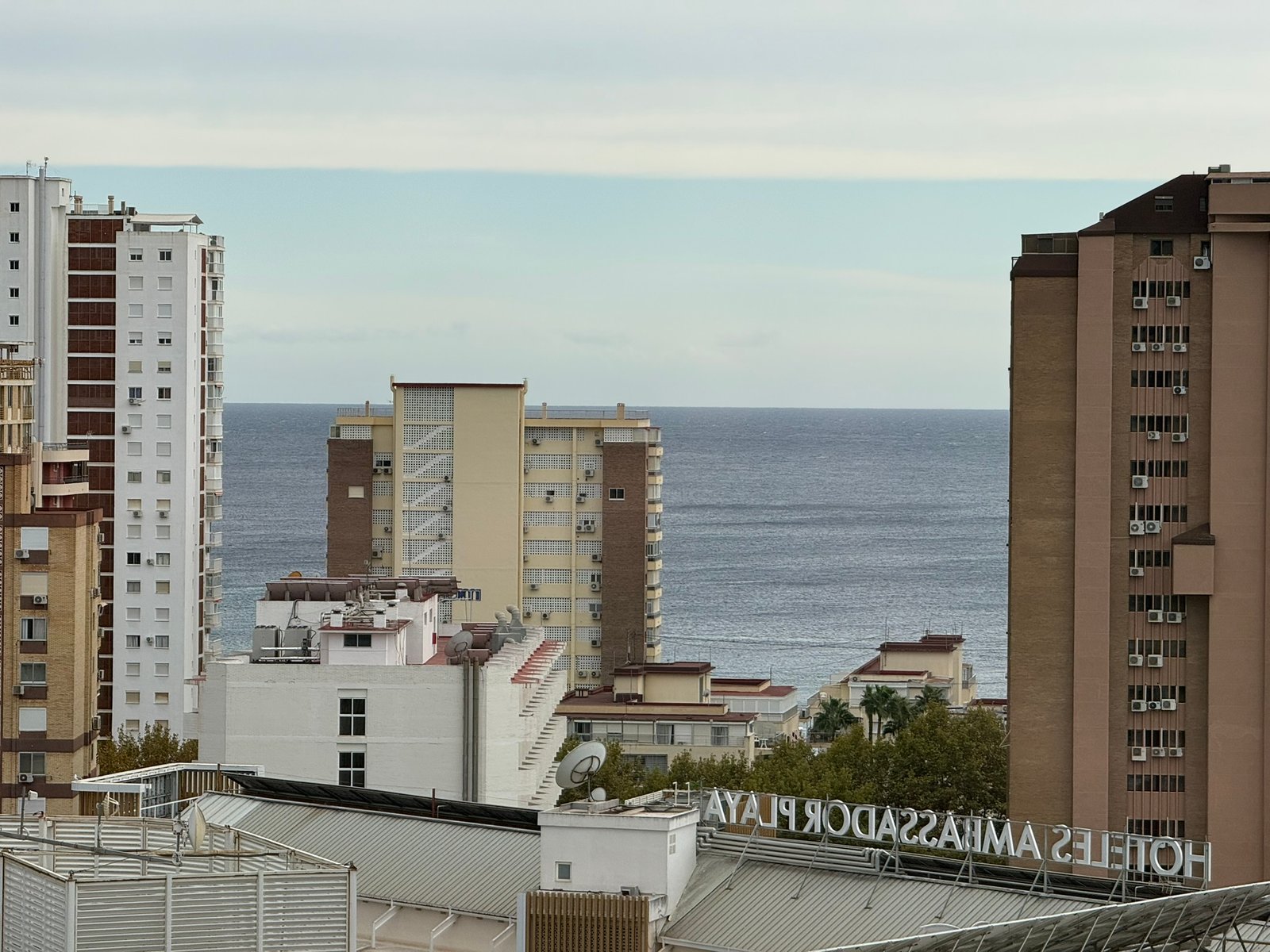 Main Property View